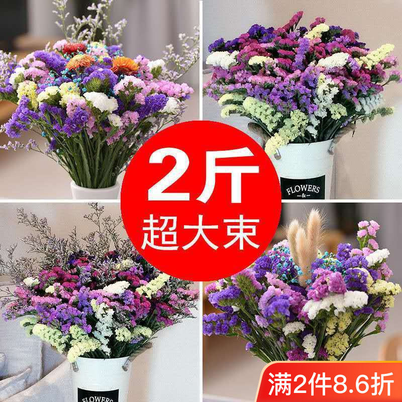 新款云南风干干花花束勿忘我真花