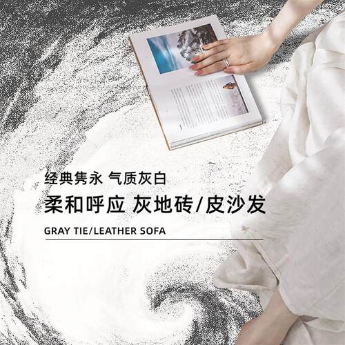 地毯客厅2025新款免洗可擦卧室床边毯茶几沙发隔音地垫轻奢高级感