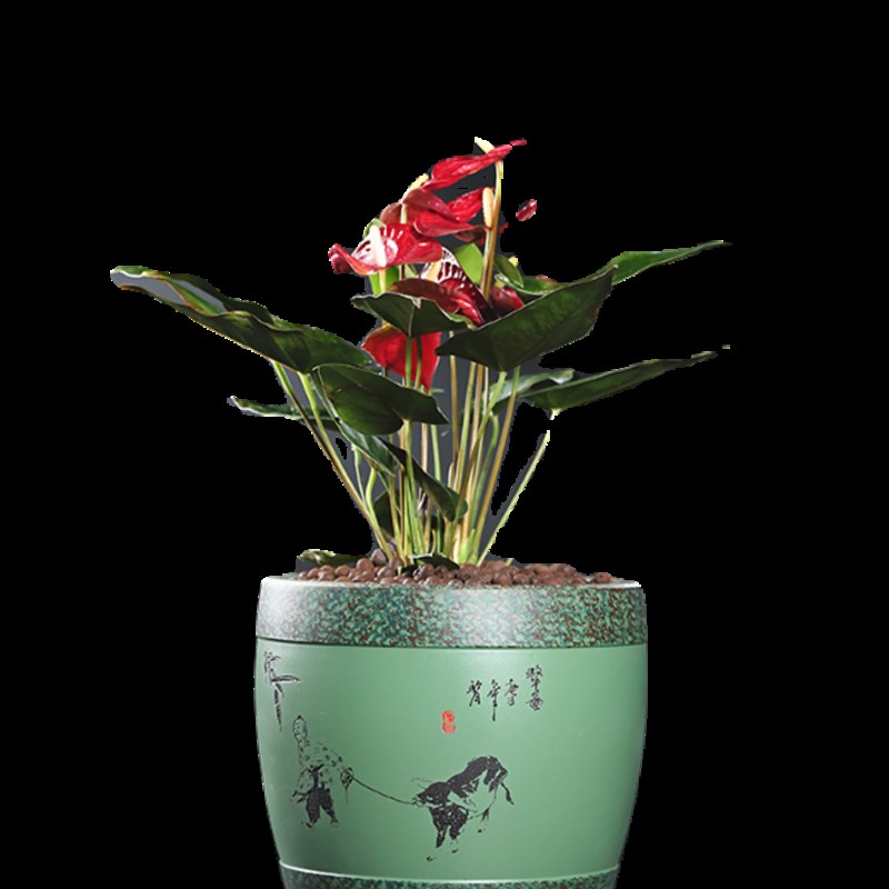 精品紫砂花盆网红款花卉绿植盆景兰花盆君子兰盆阳台仿古室内桌面