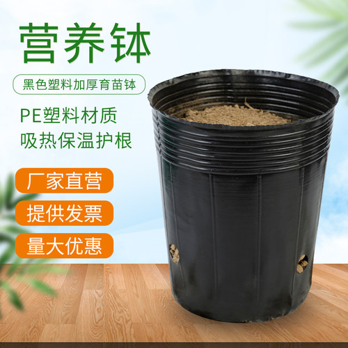 营养钵育苗杯营养袋营养杯育苗袋塑料育苗盆育苗盘花盆一次性加厚