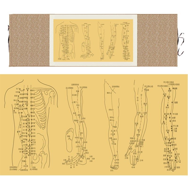 中医十二经络图丝绸画 精品人物穴位挂图 养生文化国画卷轴画定制