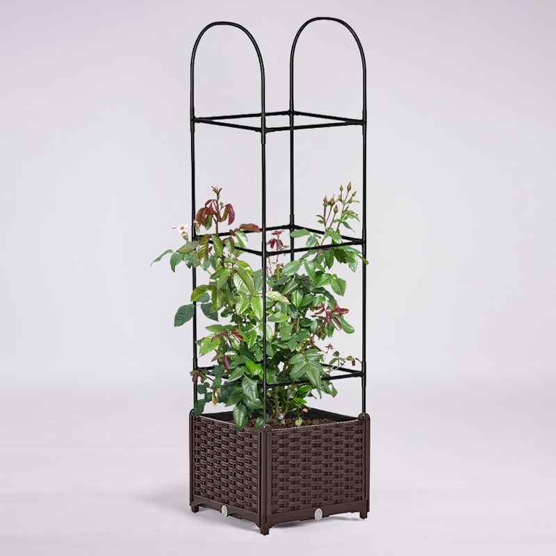 种植箱种菜盆家庭小花盆屋顶菜园蔬菜菜盆阳台露台爬藤架室内户外
