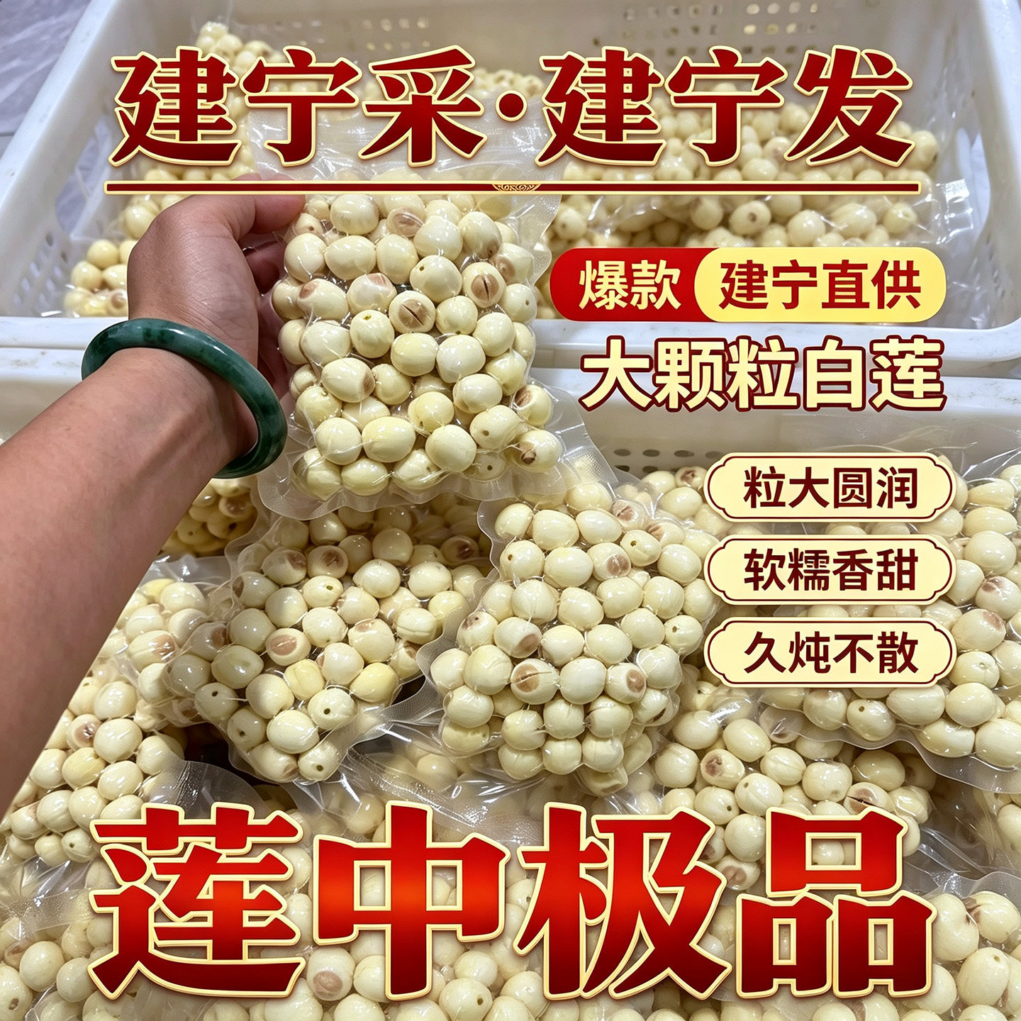 2026年正宗建宁新鲜生莲子原产地直销直发去芯优质无硫现摘发顺丰