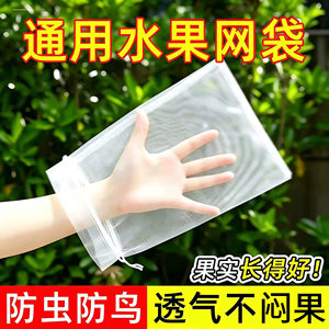 瓜果专用收纳袋网袋水果套袋西红柿番茄葡萄草莓无花果套袋
