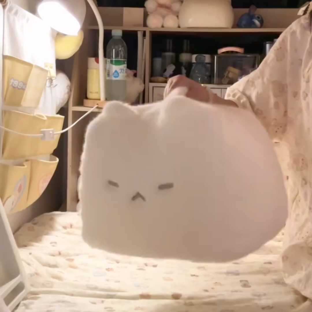 霉豆腐小猫方形毛绒可爱抱枕