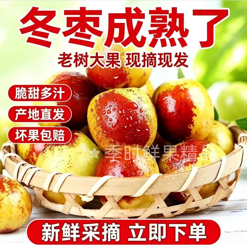 山东沾化新鲜大枣中秋送礼头茬鲜冬枣口感脆甜基地现摘发货整箱