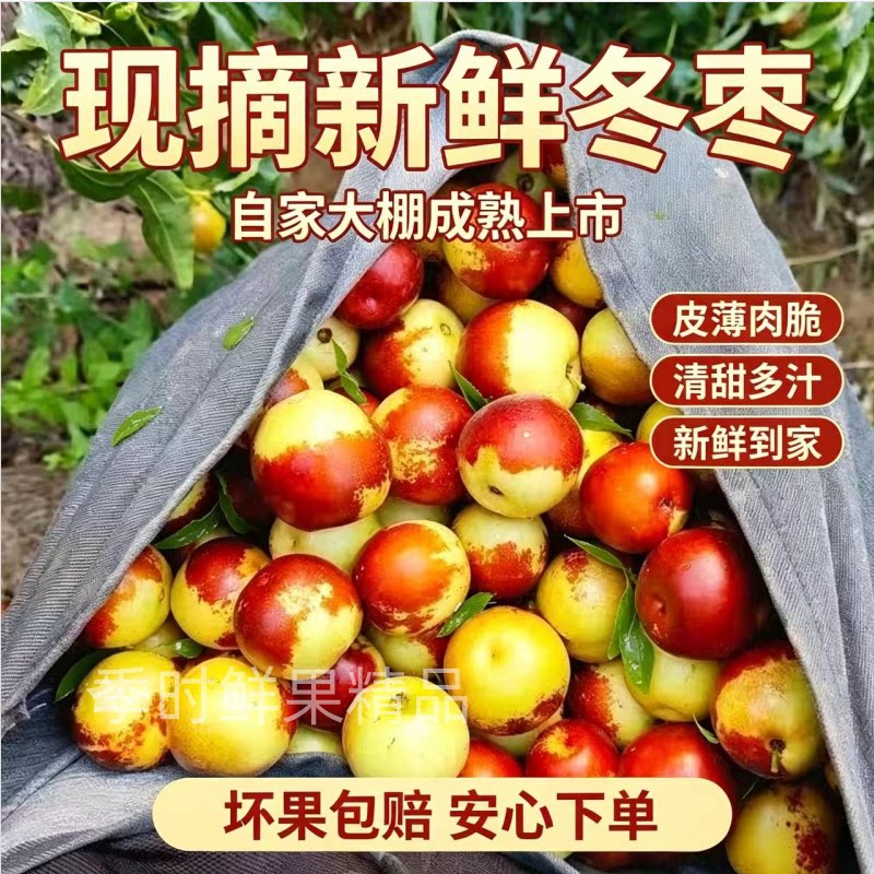 山东沾化新鲜冬枣时令新鲜水果现摘现发脆甜鲜枣子节日送礼
