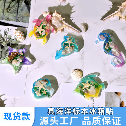 热销真实海洋生物磁铁冰箱贴装饰