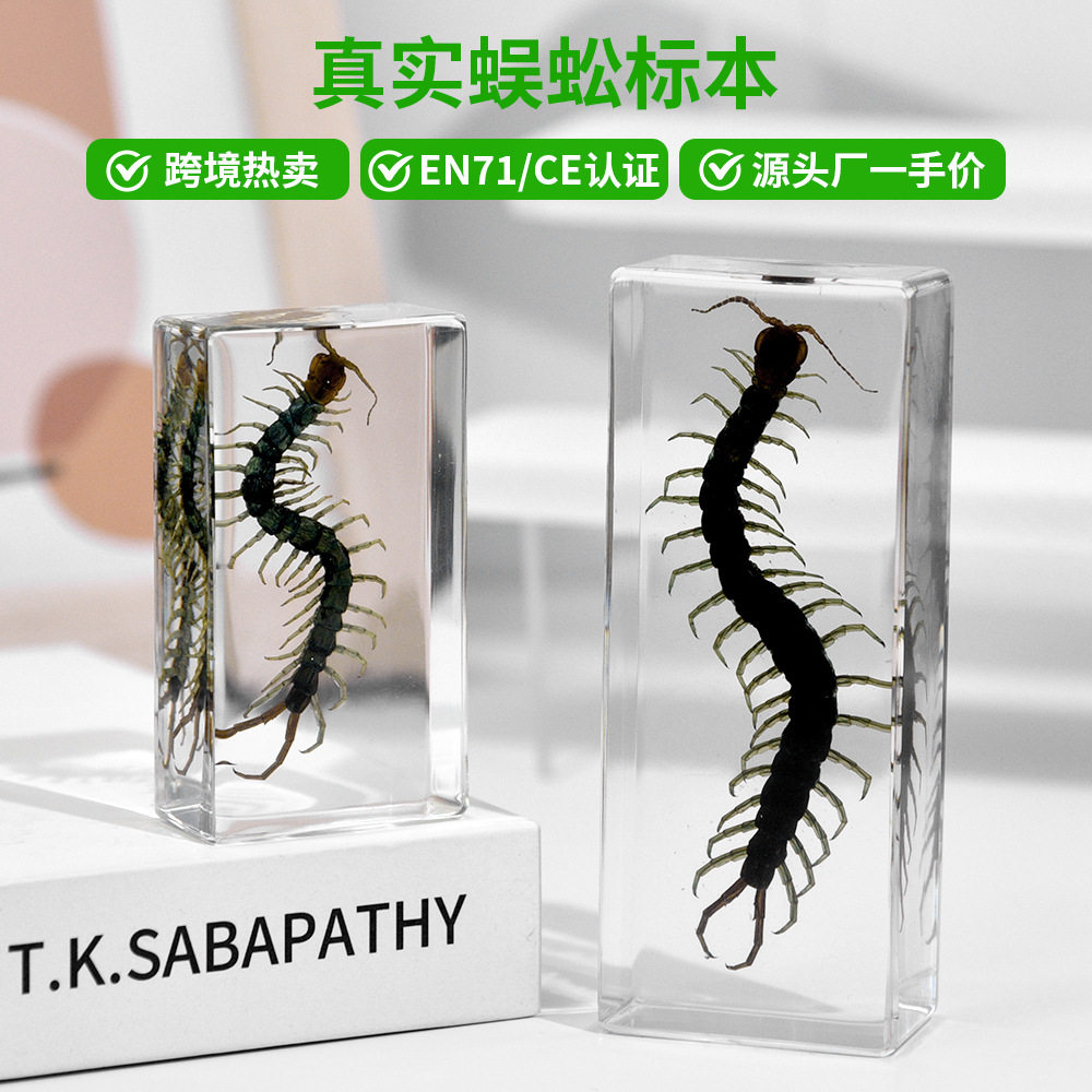 源头厂家跨境树脂真实蜈昆虫蜈蚣标本透明树脂摆件树脂内埋工艺品