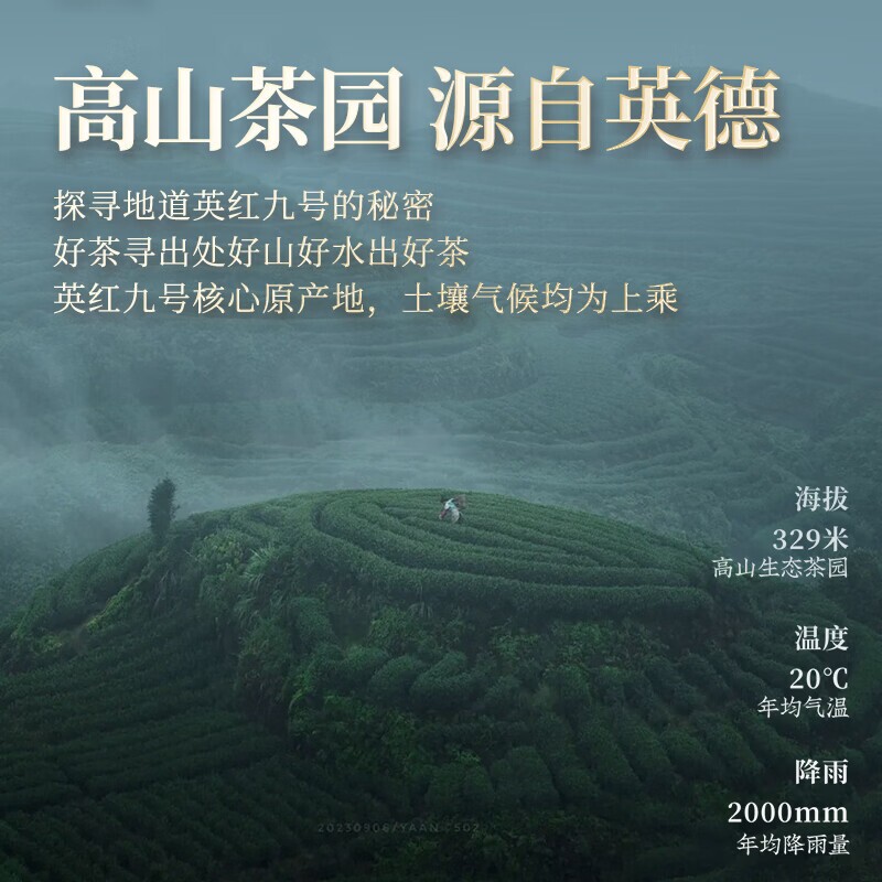 英德红茶 英红九号 浓香型 250g 原叶口粮茶散装 茶厂直供自饮
