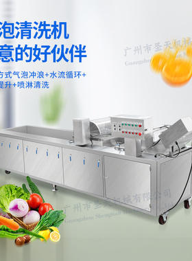 电动水果蔬菜气泡清洗机