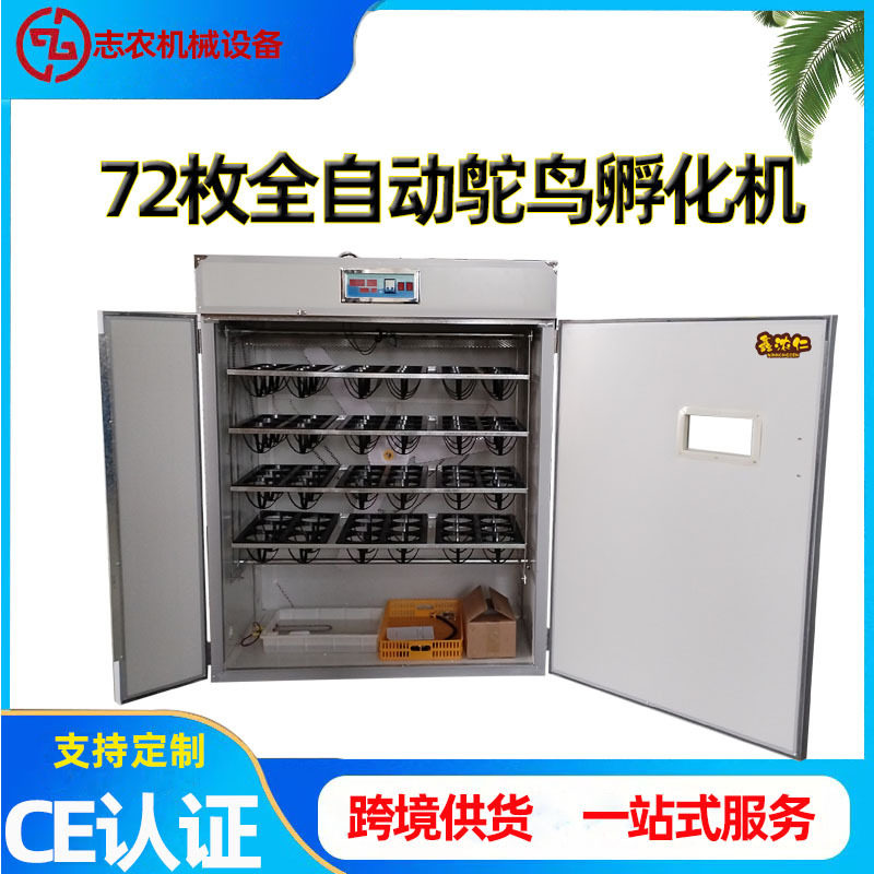工厂定制72枚全自动鸵鸟蛋孵化器鸵鸟用智能型孵蛋机大型孵化机