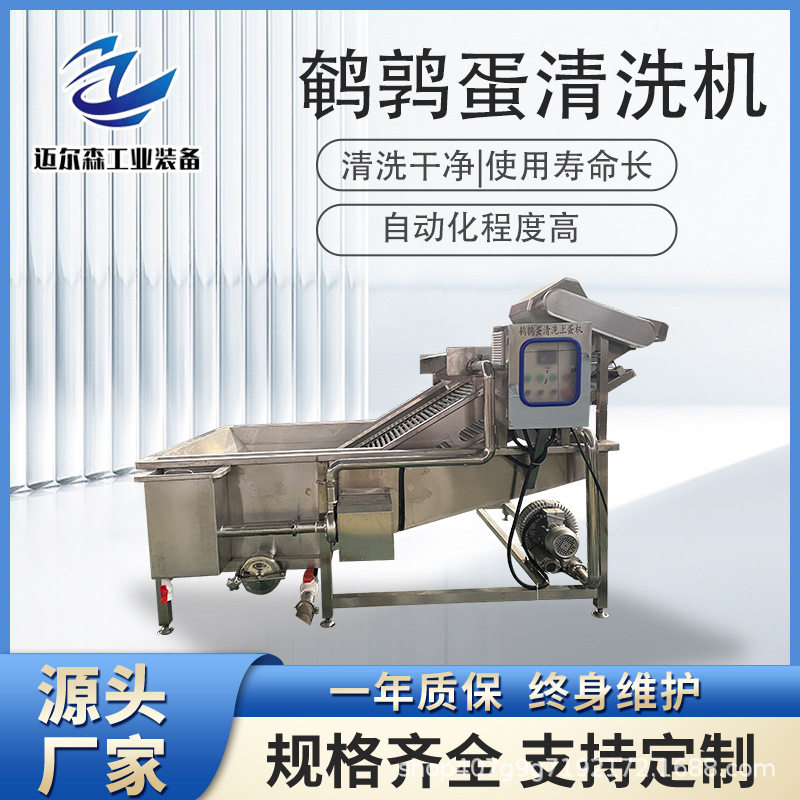 全自动鹌鹑蛋清洗上蛋机卤味鹌鹑蛋加工机不锈钢蛋品清洗设备