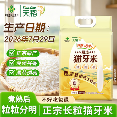 开薪稻田5斤猫牙米煲仔饭专用