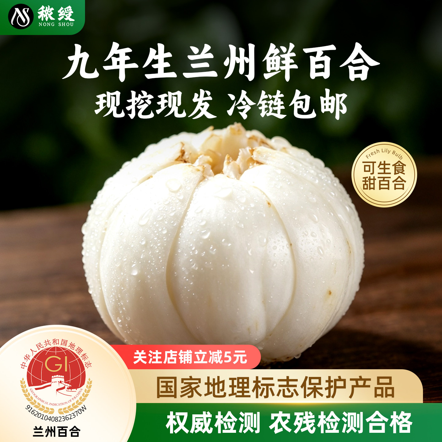 秾绶兰州官方旗舰店新鲜百合特产食用甜百合现挖现发甘肃非干货