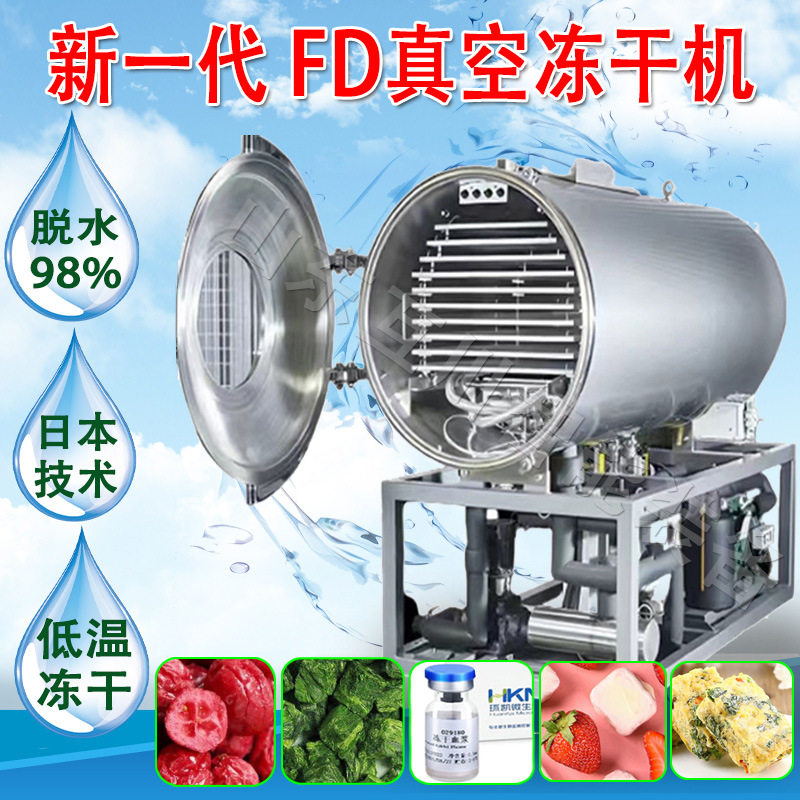 商用泰国金枕榴莲肉大型FD冷冻干燥机马来西亚猫山王榴莲冻干机