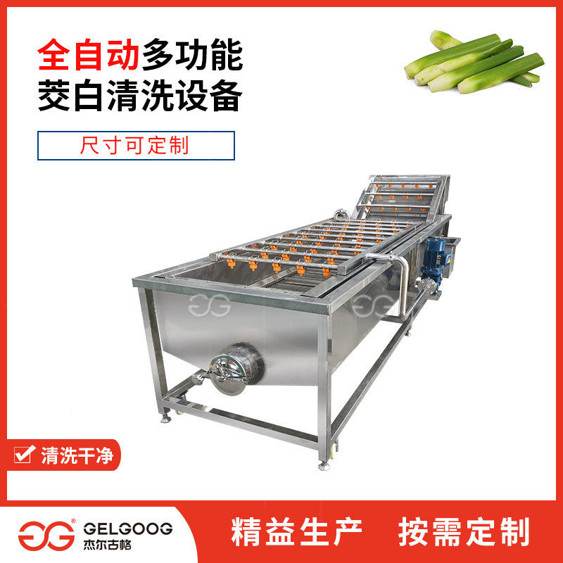 不锈钢清洗笋类蔬菜设备自动洗雪菜梅干菜茭白清洗机叶菜清洗机