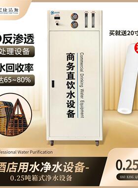 酒店用水工厂直销0.25吨每小时箱式反渗透设备软化水直饮水设备