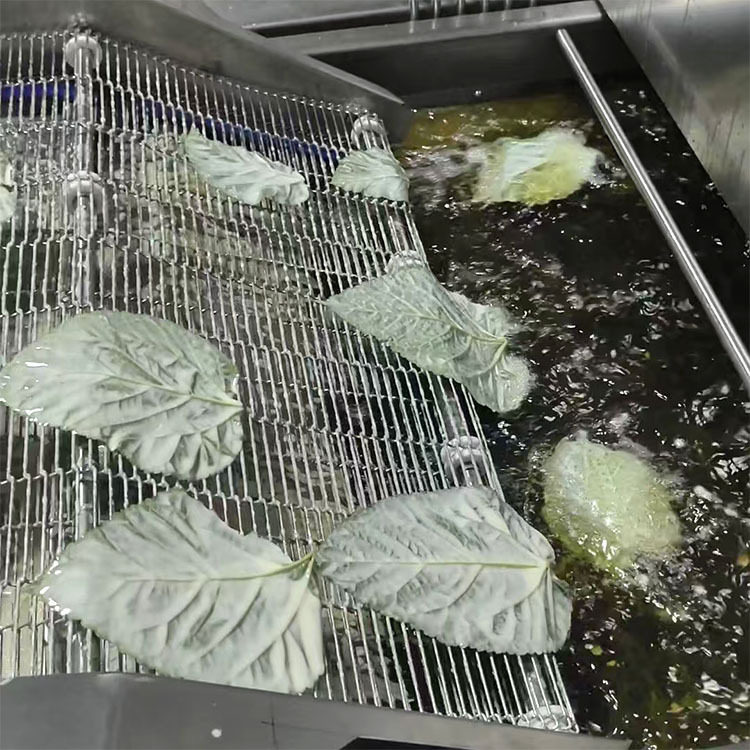 桑叶油炸机大型蔬菜类油炸机海苔鸡肉棒油炸线常温食品油炸设备