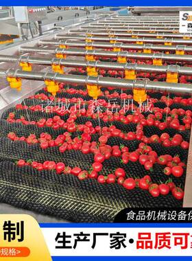 西梅橄榄果气泡洗果机水果果脯毛刷清洗机304不锈钢诸城工厂直供