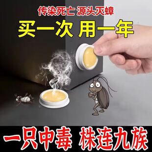 旗舰店非无毒诱饵剂一次全窝绝杀强效第一名 蟑螂药家用全窝端正品