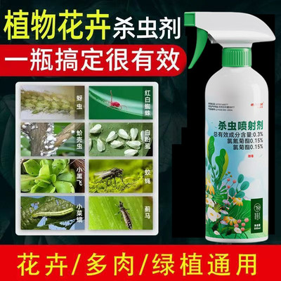 杀虫剂虫子药蜜虫药玫瑰花上植物白色花里面有小飞虫长虫打什么药