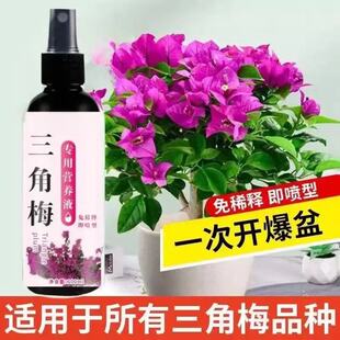 三角梅营养液专用催花养花通用型梅花盆栽家用花卉促开花浓缩园艺