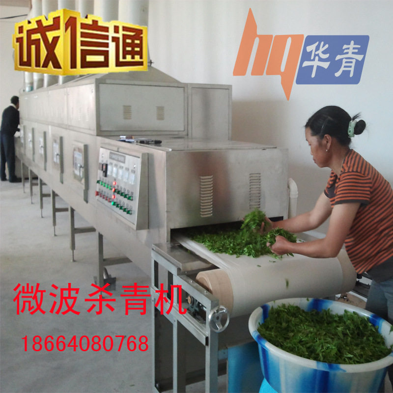 杀青机微波茶叶加工机惠州博罗绿茶微波杀青提高茶叶品质色泽香气