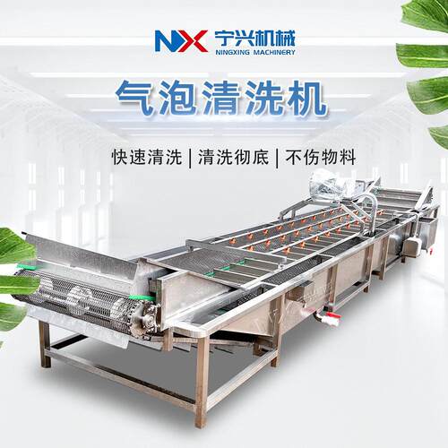 多功能气泡清洗机蔬菜水果和材食品的清洗线