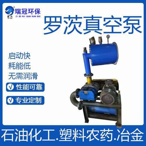 瑞冠 污水处理氧负压 罗茨真空泵 曝气三叶罗茨鼓风机