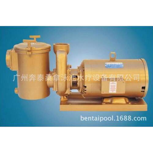 美国LEESON铜泵 利森铜泵 泳池过滤循环铜泵 泳池铜泵 5HP/380V