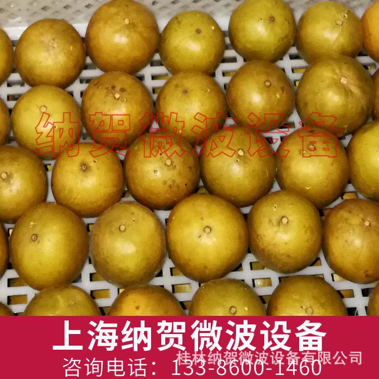 贵阳罗汉果农产品材脱水设备，上海纳贺微波真空低温烘干设备