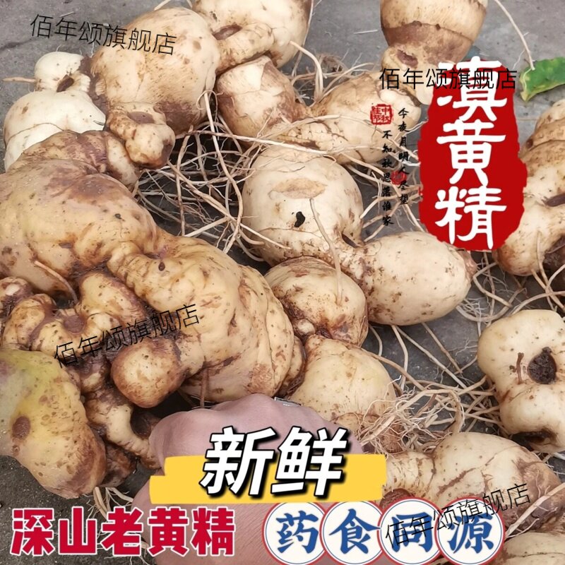 野生黄精老虎姜深山滋补煲汤