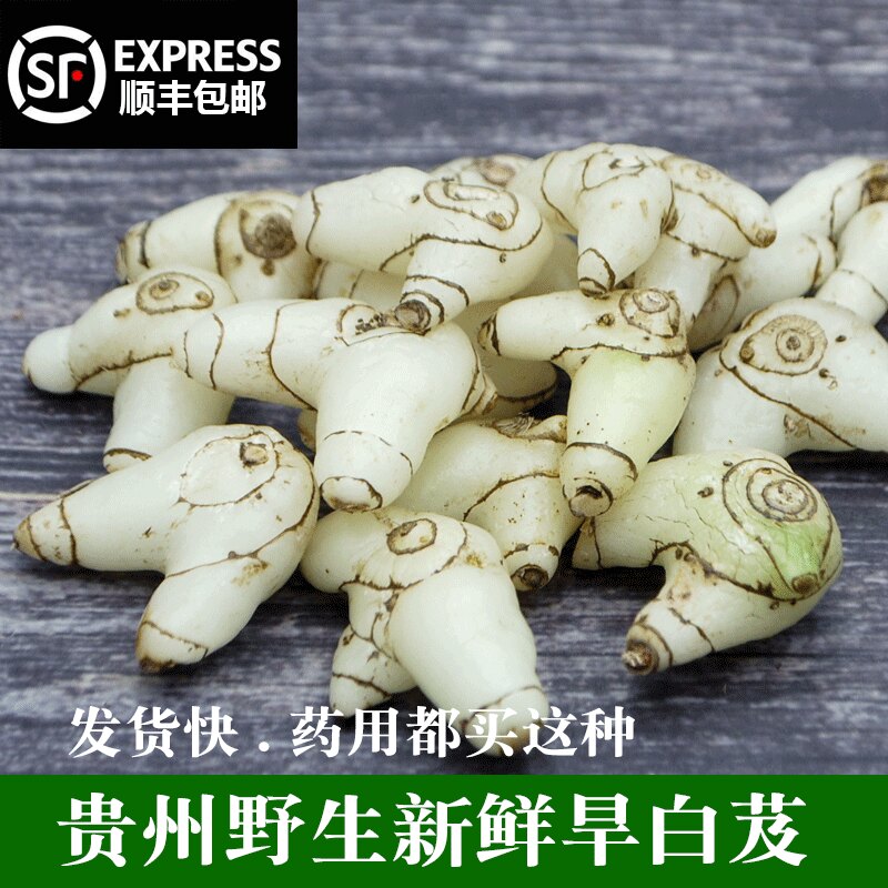 贵州药用白芨新鲜可种材旱