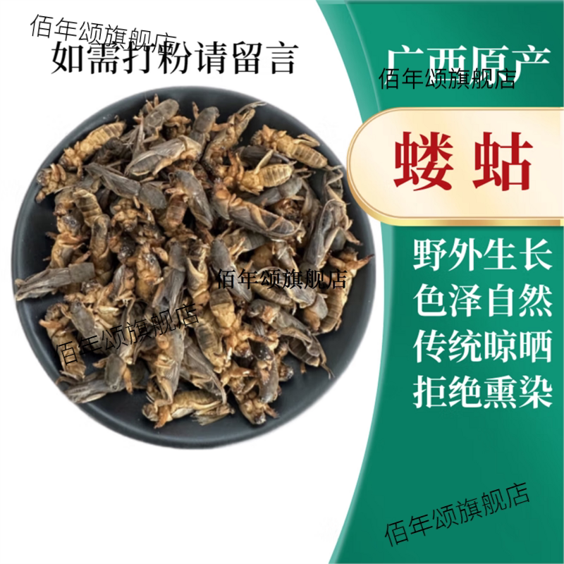 新货蝼蛄干土狗子拉蛄蝲蛄