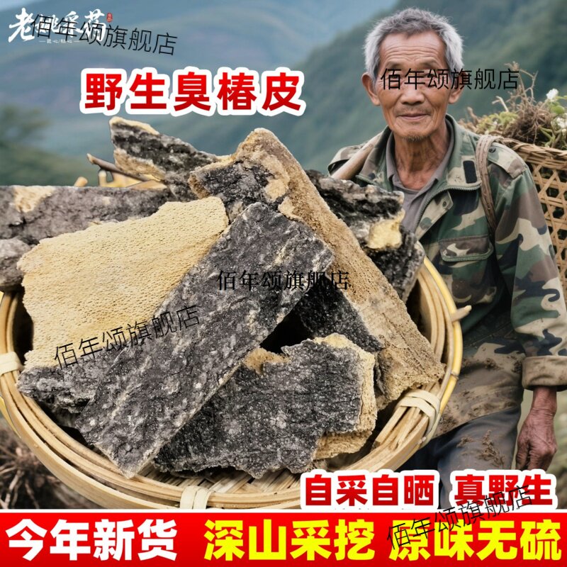 云南野生材椿皮臭苦白樗
