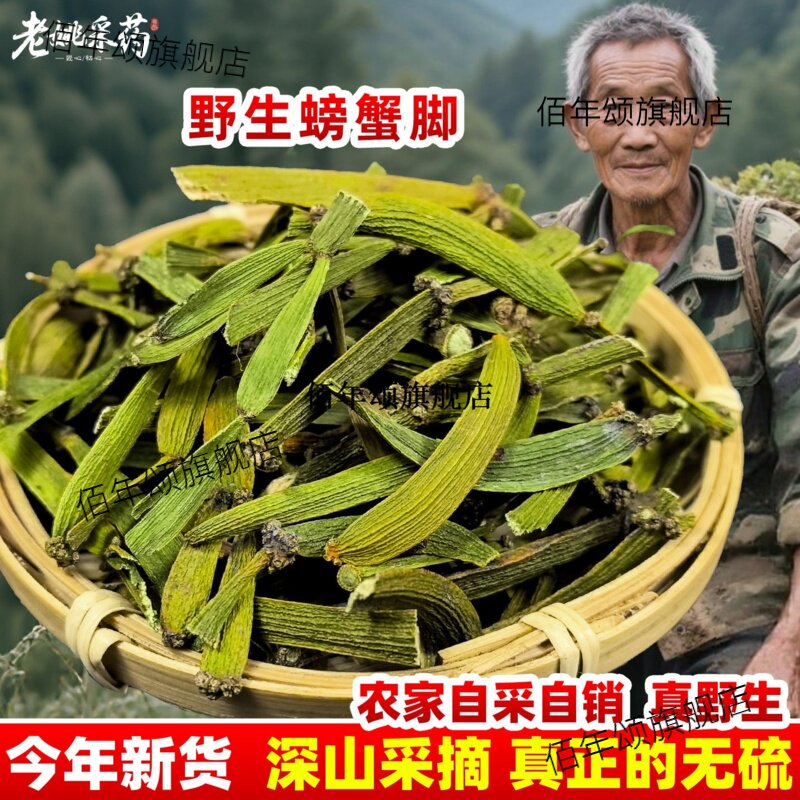 云南野生螃蟹脚材枫树寄