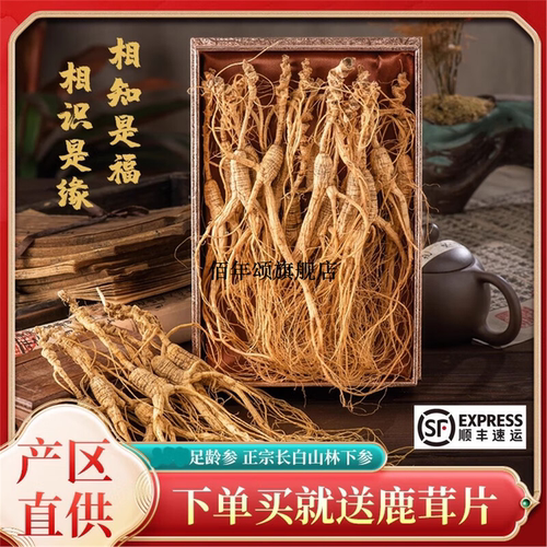 20年长白山林下参足干整枝泡酒