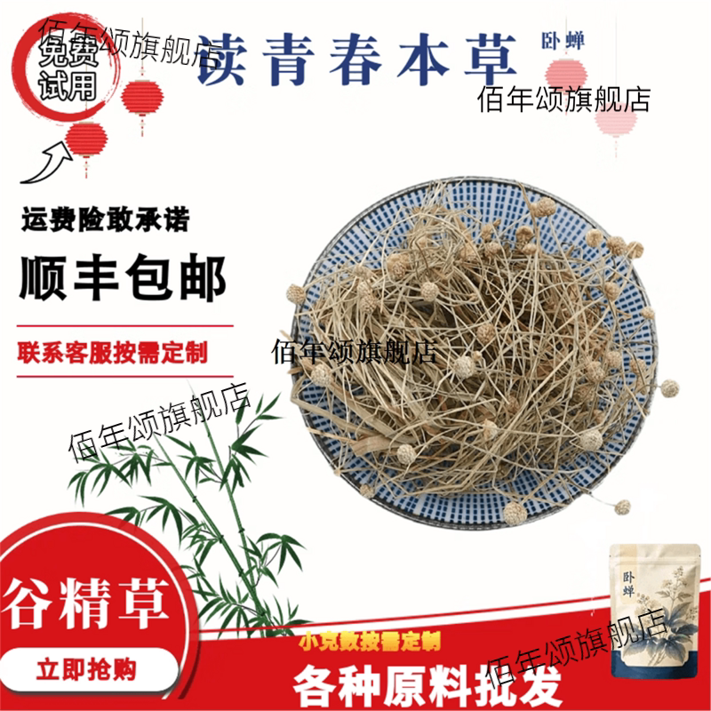 谷精草500克连萼珍珠草鼓槌草