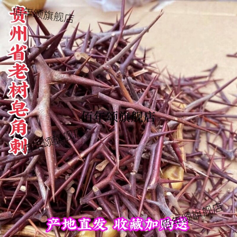 贵州省野生皂角刺下单纳