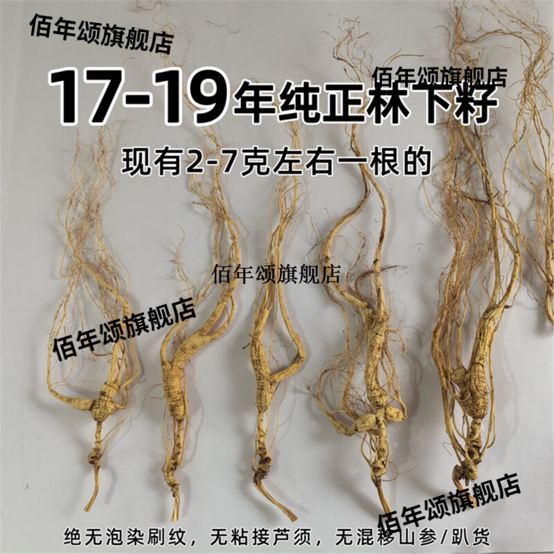正宗东北长白山野参22年老