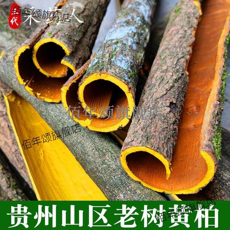 贵州材黄柏树皮川丝片关檗