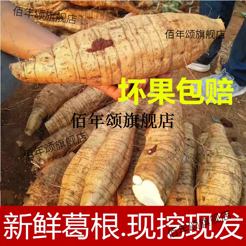 新鲜葛根广西现挖正宗野和