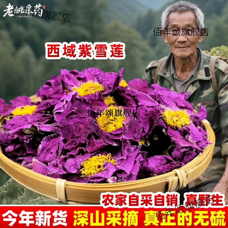 西域紫莲花日月绵雪九品