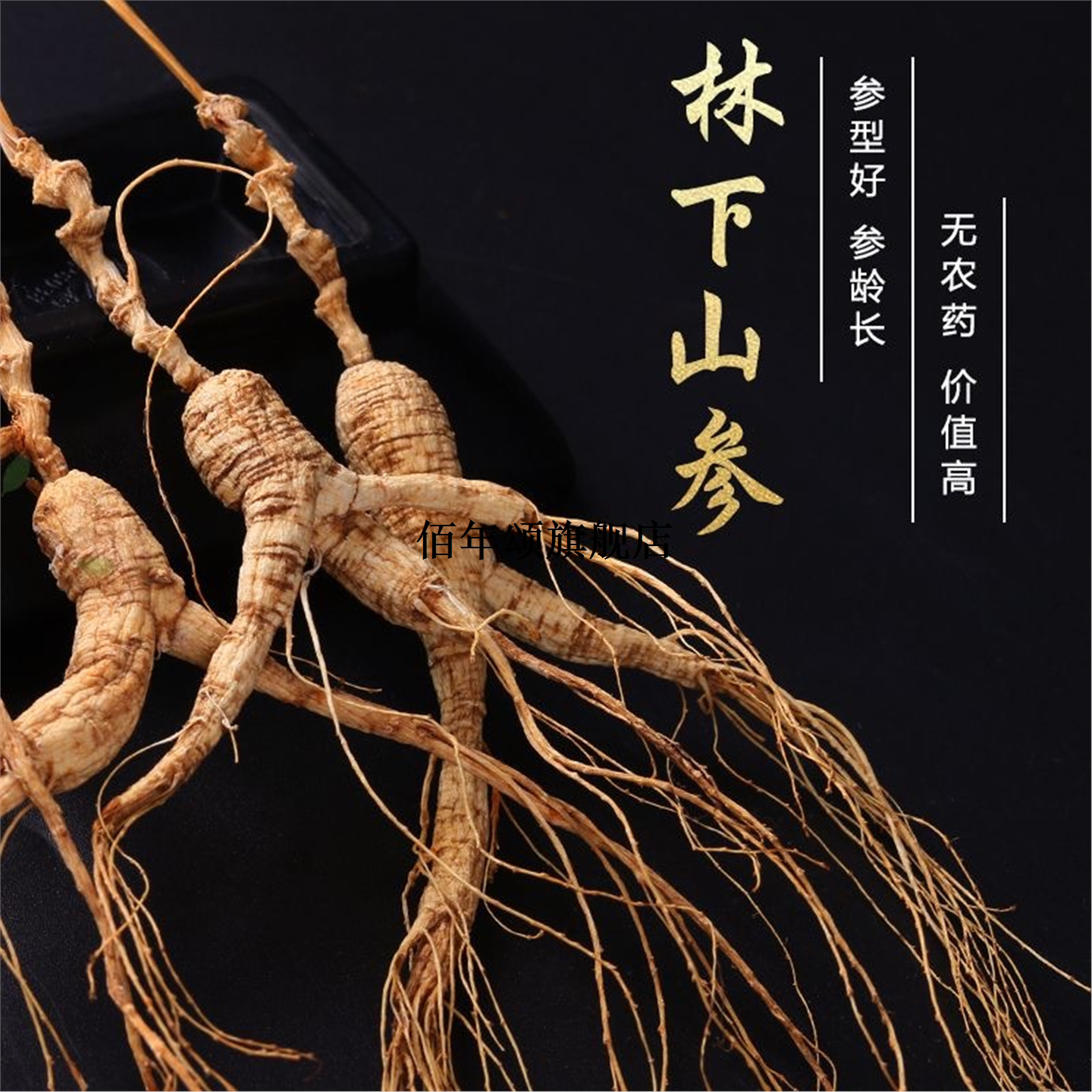 林下山参长白干足年老人泡