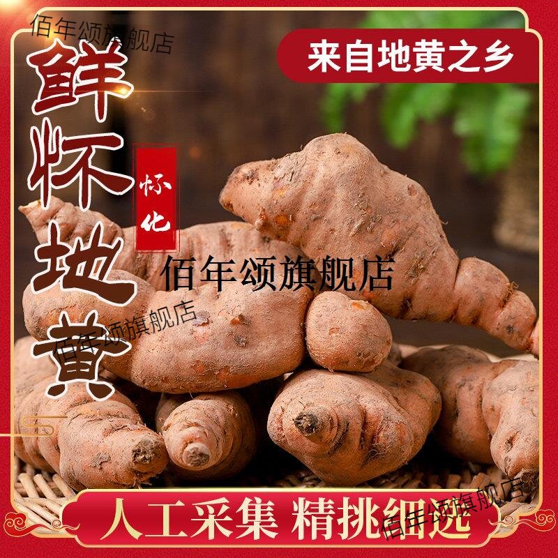 焦作原产地当季新鲜生地黄