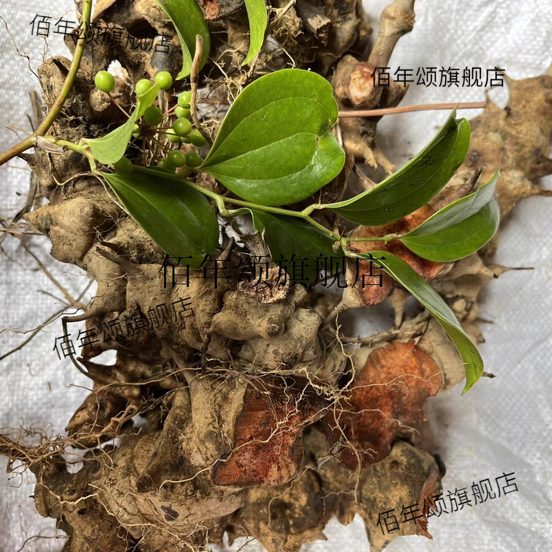 新鲜现挖金刚藤根煲汤泡酒