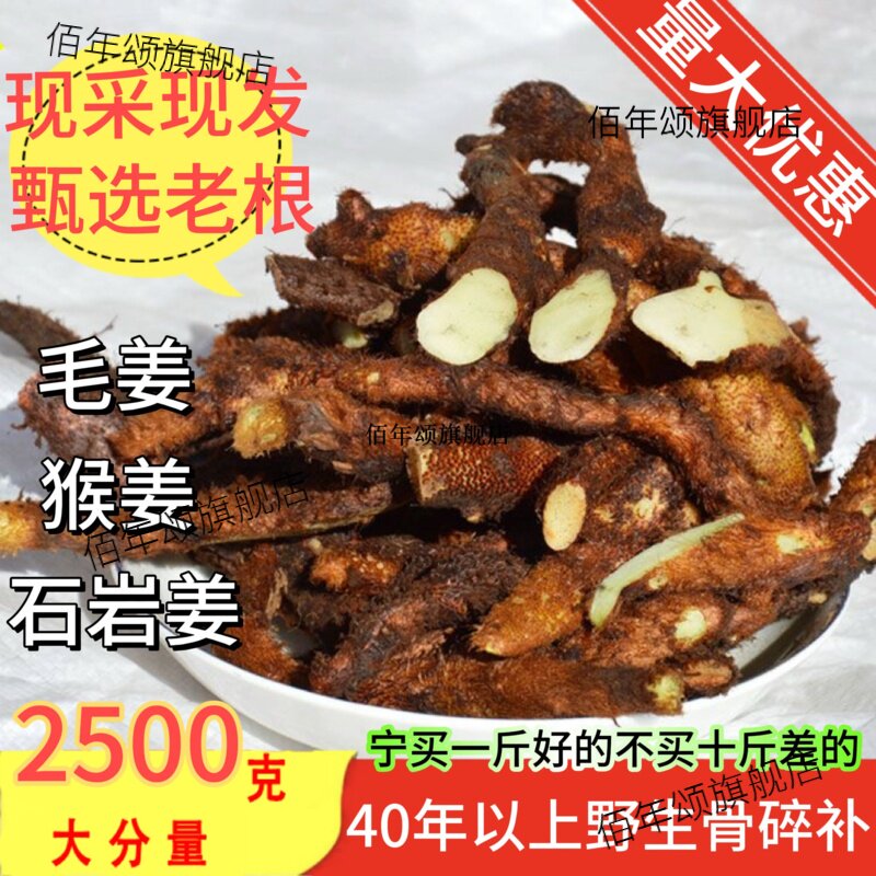 贵州深山新鲜骨碎补野生毛
