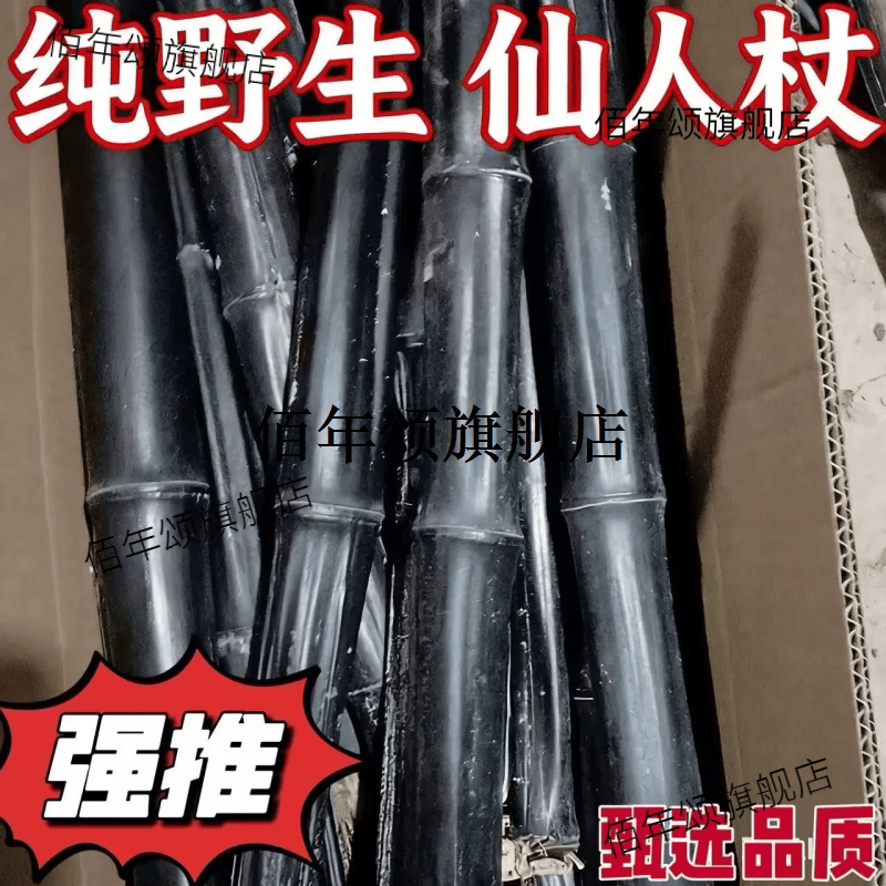 蔡锦芬仙人杖膏古法手工熬制去积