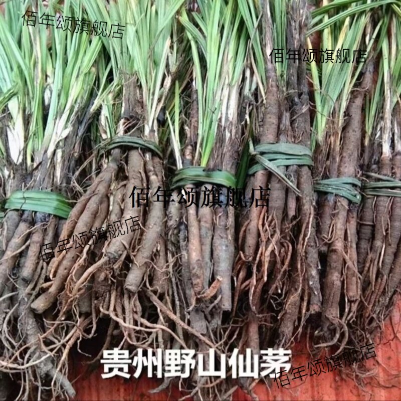 野山仙茅贵州省草药材独脚